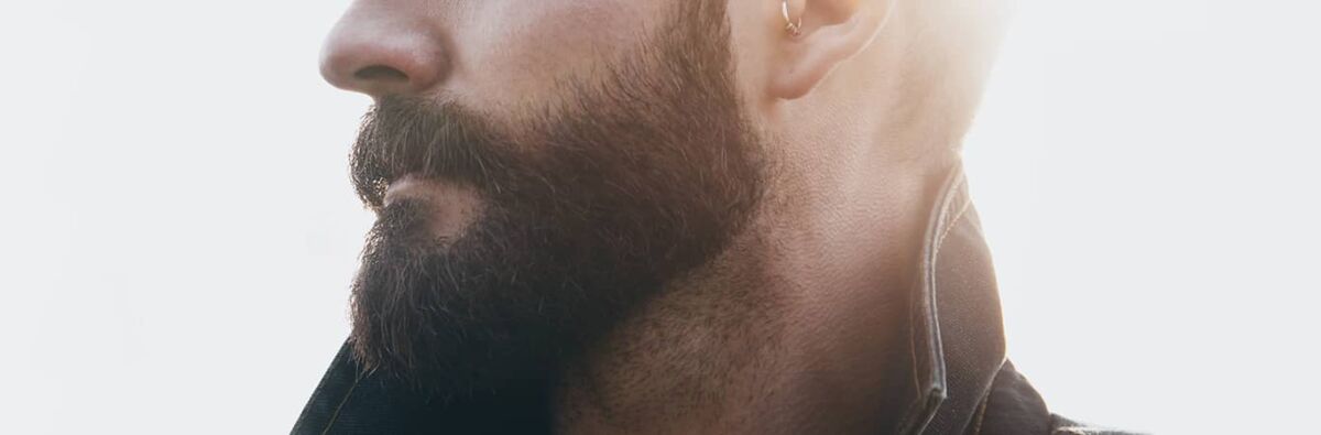Gay Bearded Men Dating Sites
