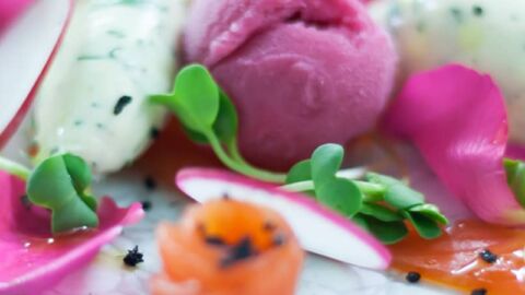 sorbet petals and radish on plate for brunch