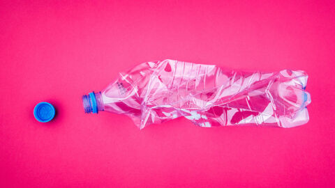 crushed plastic bottle on pink background