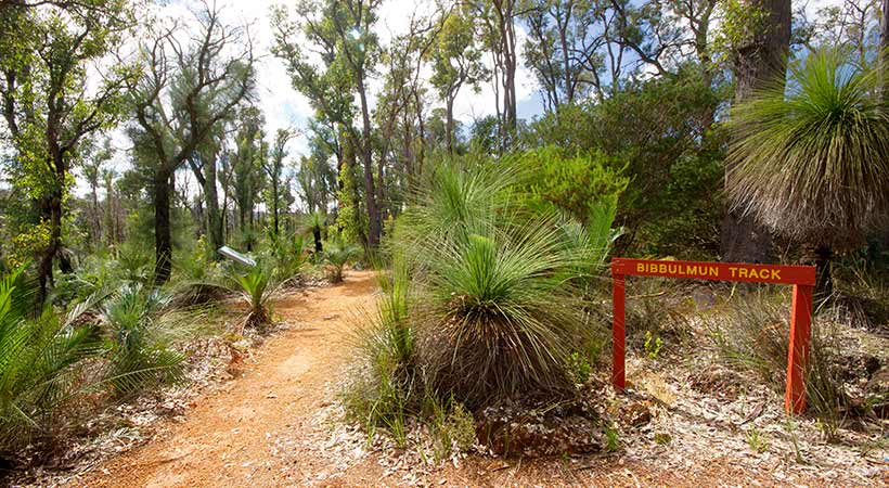 Bibbulmun track western australia