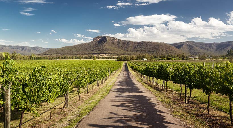 Hunter valley new south wales