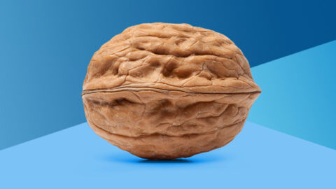 Walnut to represent the prostate on blue geometric gradient background