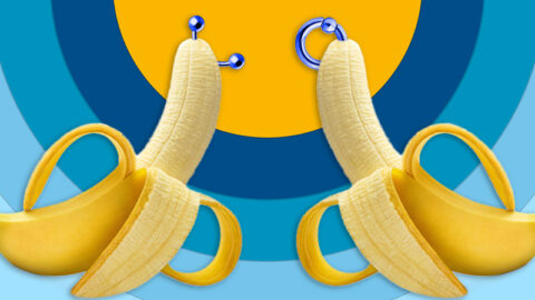 two bananas with body jewellery in tips representing prince albert genital piercings