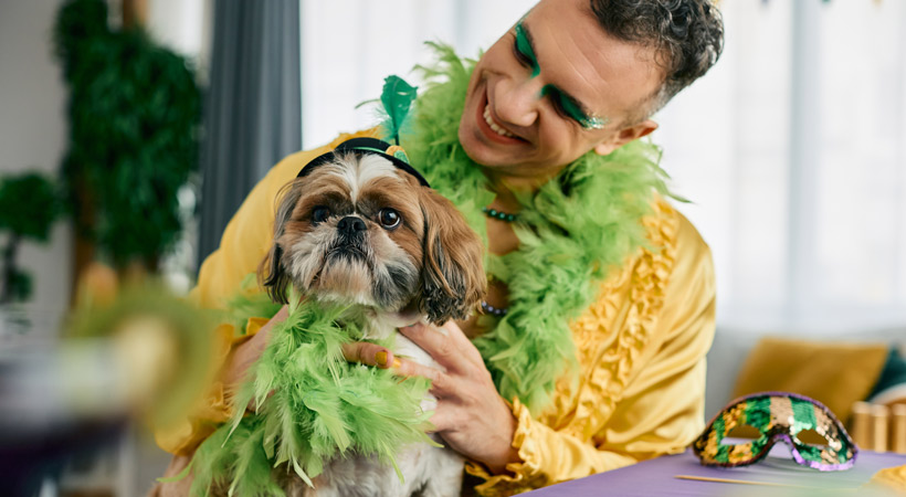 gay men dresses his dog in matching feather boa for themed house party