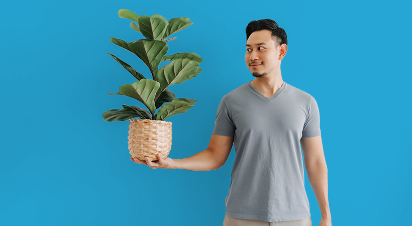man holds house plant