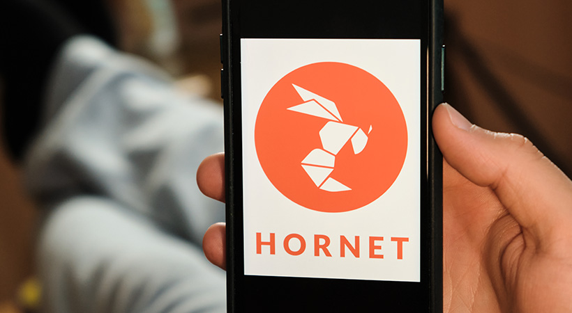 Hornet logo of dating application on the screen of mobile phone in males hand