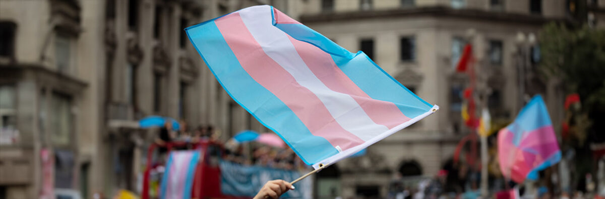 A transgender flag being waved at LGBT gay pride march