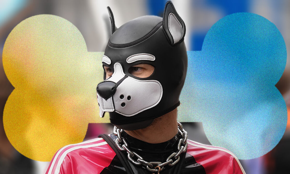 Who s a good pup We answer all your questions about gay pup culture Emen8